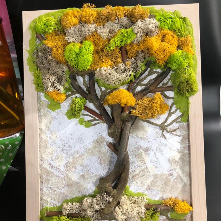Copac cu Muschi