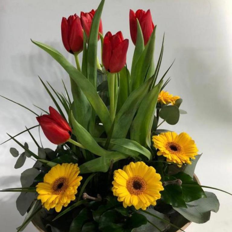 Aranjament  lalele cu mini gerbera